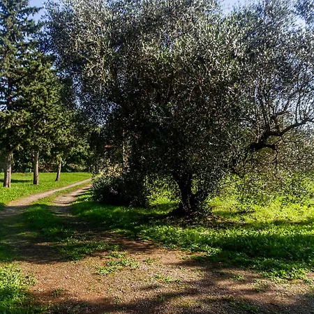 Bel Giardino Farm stay